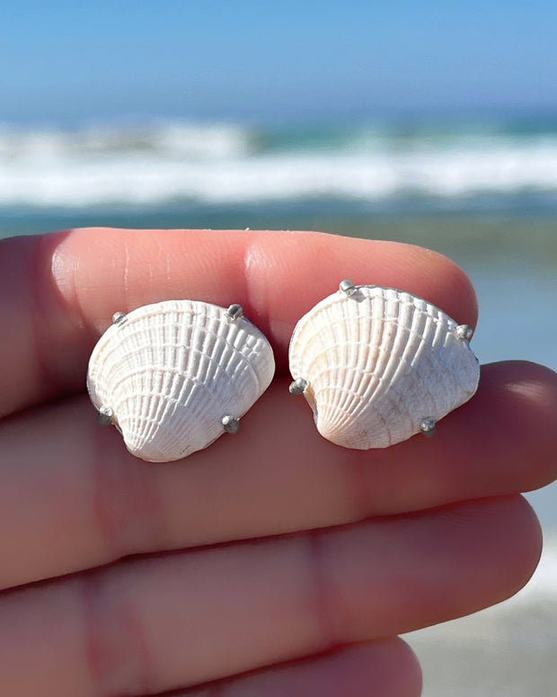 Seashell studs with removable ear jacket